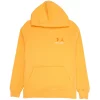 Jordan X Union M J FLC Hoodie Sport Gold